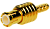 MCX