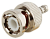 BNC